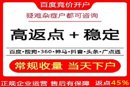 百度竞价运营策略：成功案例解析